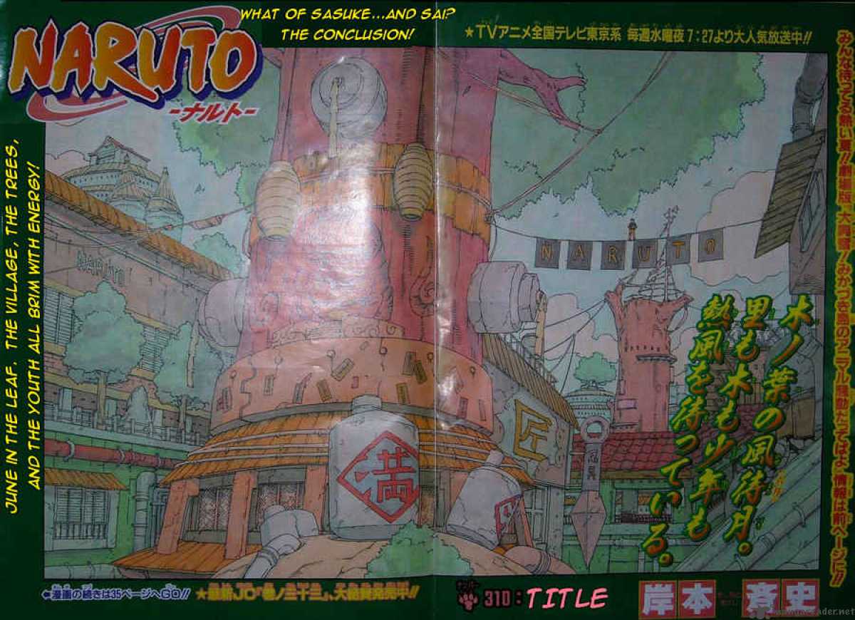 Naruto Chapter 310 - Page