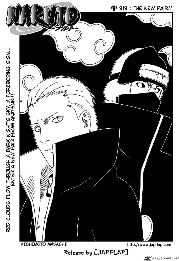 Naruto Chapter 313 - Page