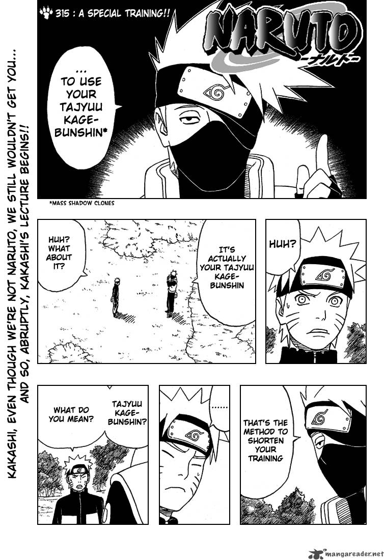 Naruto Chapter 315 - Page