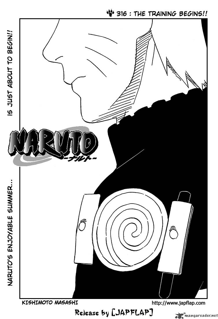 Naruto Chapter 316 - Page
