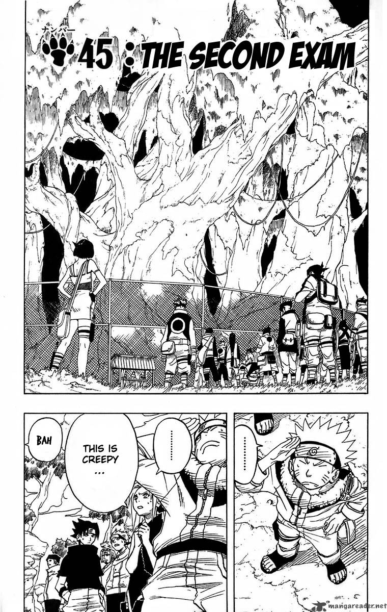 Naruto Chapter 45 - Page