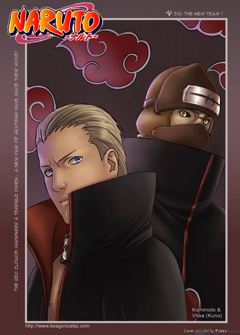 Naruto Chapter 313 - Page